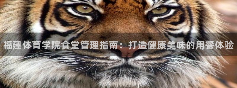 必一体育官方下载：福