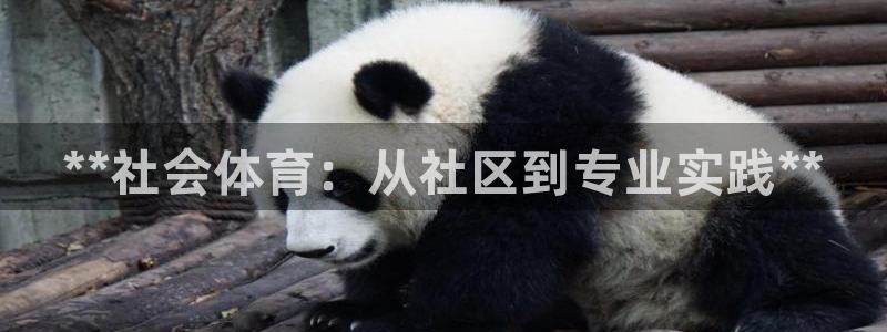 必一体育运动平台官网