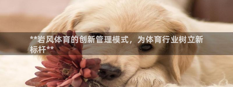 必一体育官方下载入口：**岩风体育的创新管理模式，为体育行业