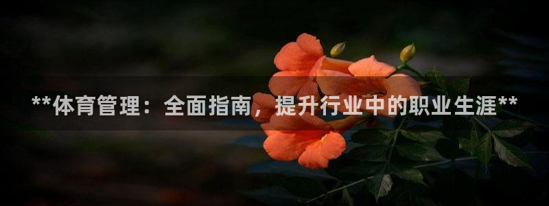 必一运动体：**体育管理：全面指南，提升行业中的职业生涯**