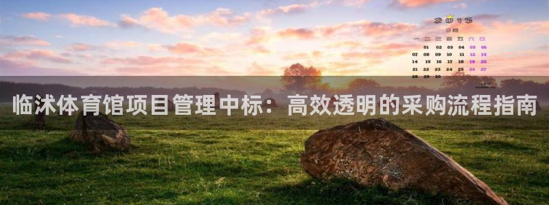 必一运动体育官网：临沭体育馆项目管理中标：高效透明的采购流程