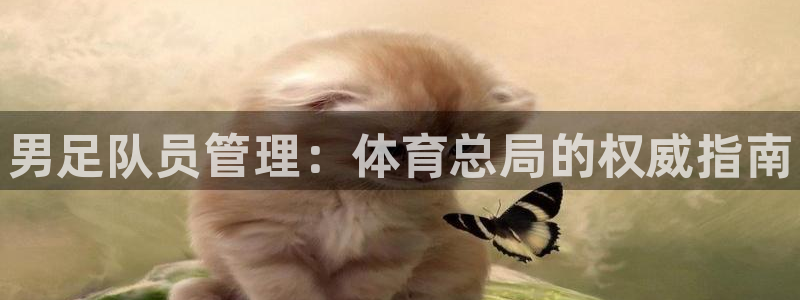 必一体育运动平台官网