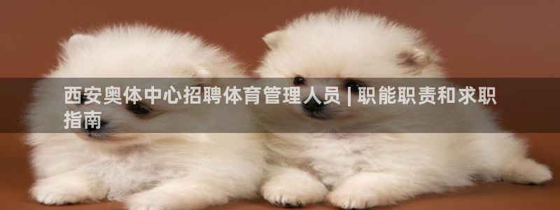 必一运动听的歌：西安