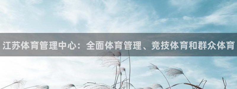 必一运动sport爱