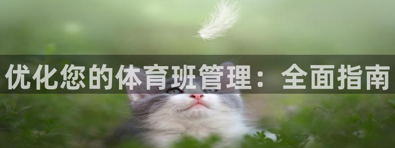 必一体育运动下载：优