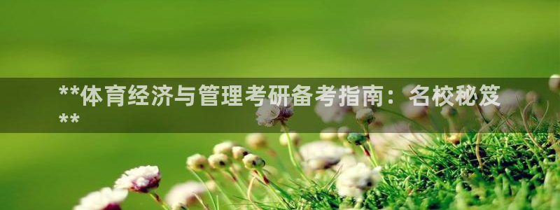 必一体育网页登录版官