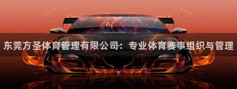 必一体育网页版登录：