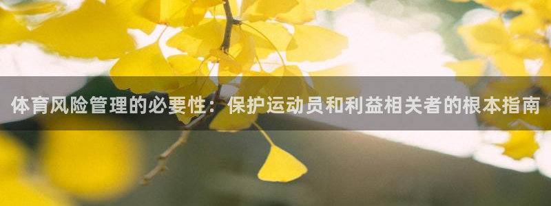 必一体育sport官